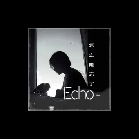 怎么能忘了 歌词 - 程响  (不插电版)