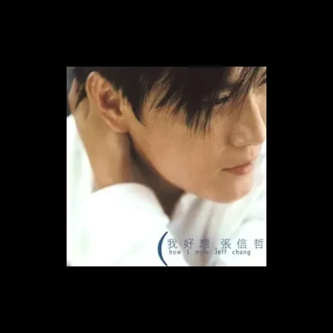 爱就一个字歌词 - 张信哲