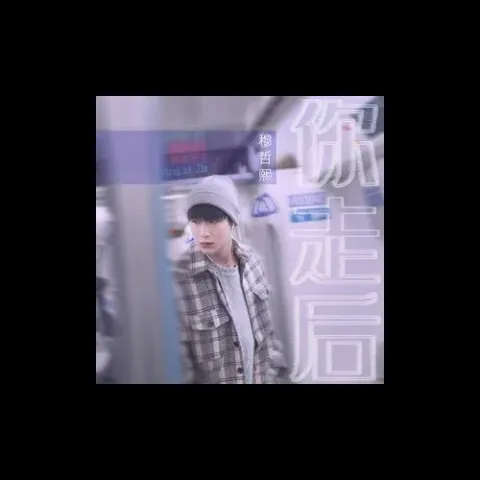 你走后 歌词 - 穆哲熙