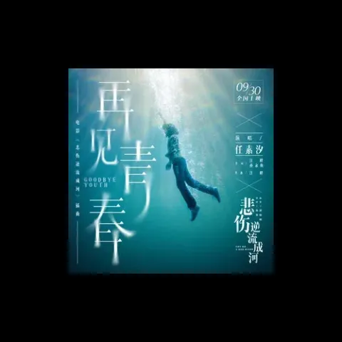 再见青春歌词 - 任素汐
