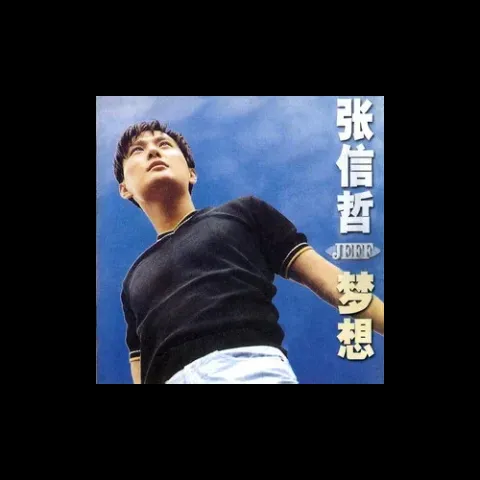 太想爱你歌词 - 张信哲