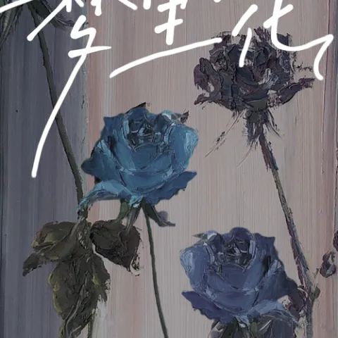 梦里花歌词 - 苏星婕 纯白的茉莉花