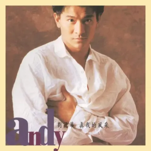 真我的风采歌词 -  刘德华