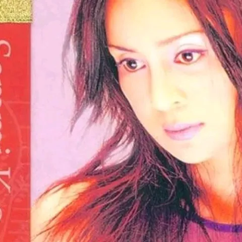 潇洒的走 歌词 - 高胜美