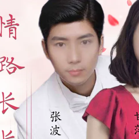 情路弯弯情路长长 歌词 - 甘萍 / 张波