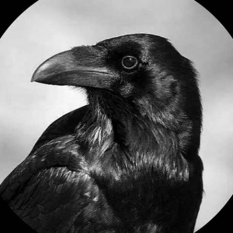 心如止水 歌词 - Ice Paper