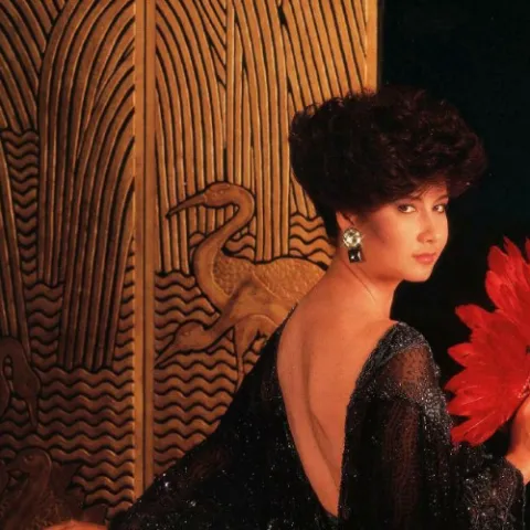 知更鸟歌词 - 甄妮