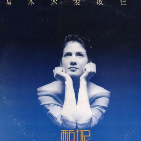 爱慕的心歌词 - 甄妮