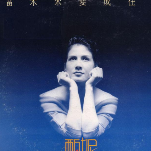 爱慕的心歌词 - 甄妮