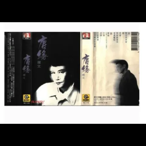 尘缘 歌词 - 罗文 国语