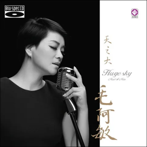 天之大 歌词 - 毛阿敏