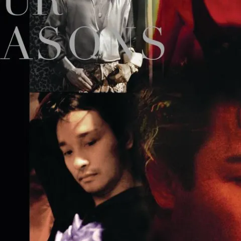 暴风一族 歌词 - 张国荣