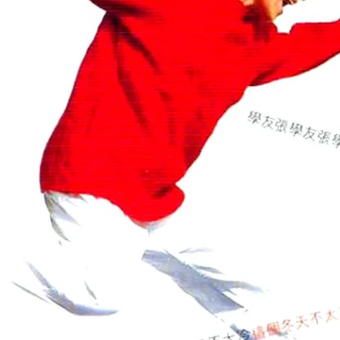 情系半生 歌词 - 张学友 电视剧《居者冇其屋》主题曲