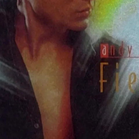 男儿志 歌词 - 刘德华