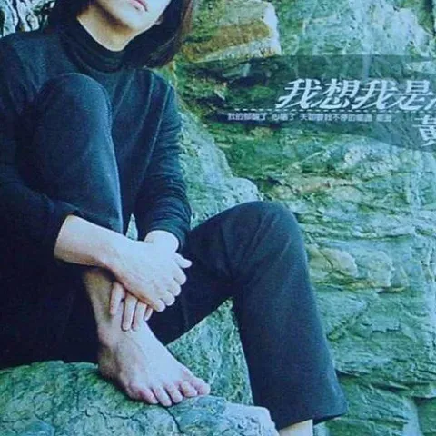  我想我是海 歌词 - 黄磊