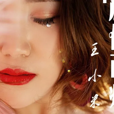 为你而痛 歌词 - 王小米