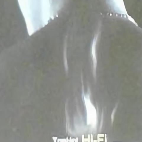 情人正传 歌词 - 冷漠