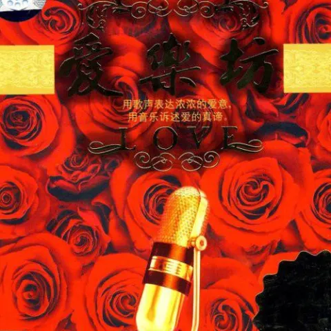  爱情错觉 歌词 - 王娅