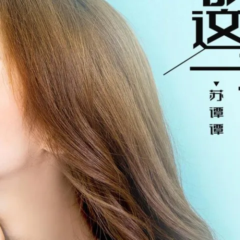 叹这一生 歌词 - 苏谭谭