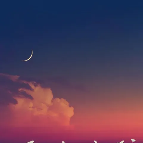  无人与我 歌词 - 黄静美 （粤）