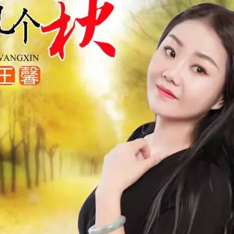 人生几个秋 歌词 - 王馨