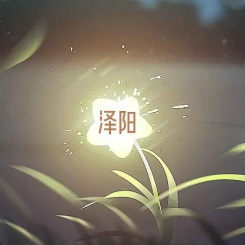 梦里梦外都是你 歌词 - 泽阳