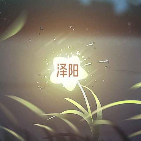 梦里梦外都是你 歌词 - 泽阳