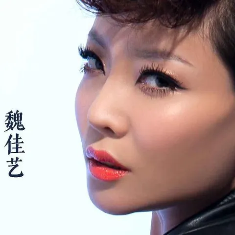  杯杯敬自己 歌词 - 魏佳艺