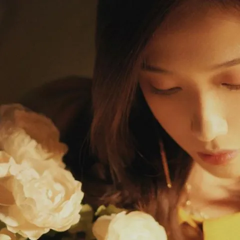 秋来秋去 歌词 - 王晴