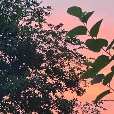  面具 歌词 - 姜泥