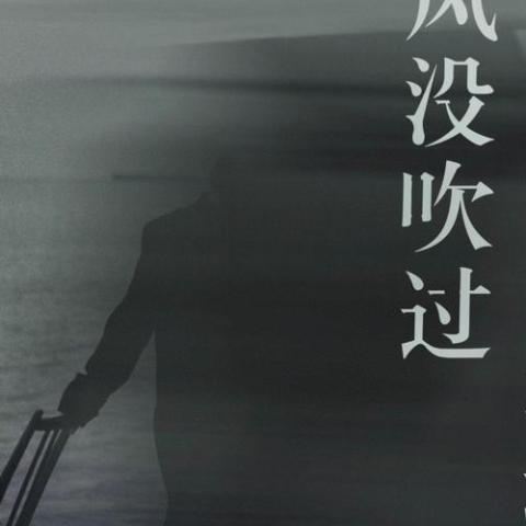  风没吹过你没来过 歌词 - 洋澜一