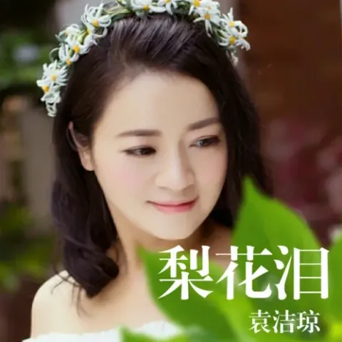 梨花泪 歌词 - 袁洁琼