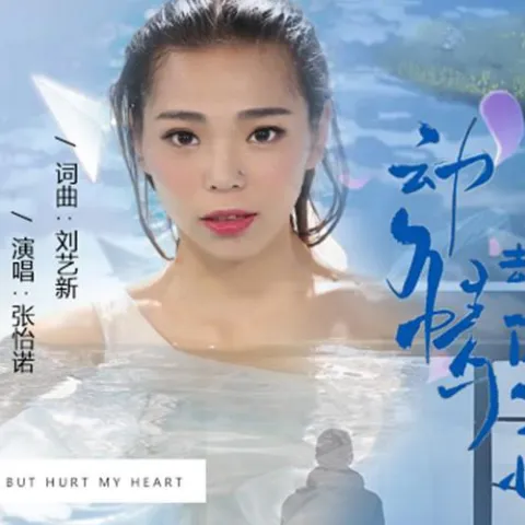 动了情却伤了心 歌词 - 张怡诺