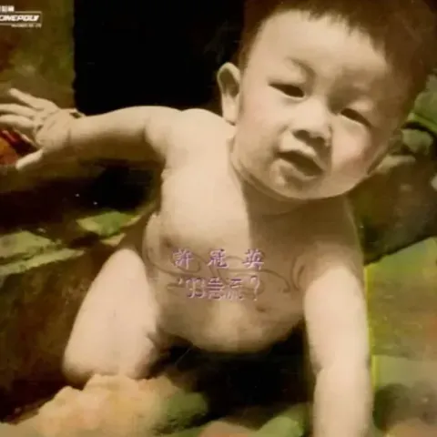 痴心愿记取 歌词 - 许冠英