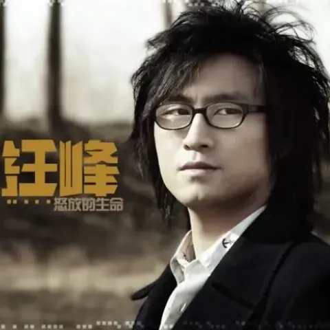 怒放的生命 歌词 - 汪峰