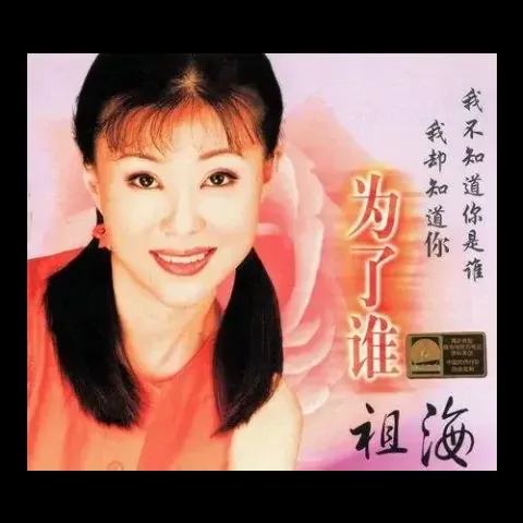 为了谁 歌词 - 祖海