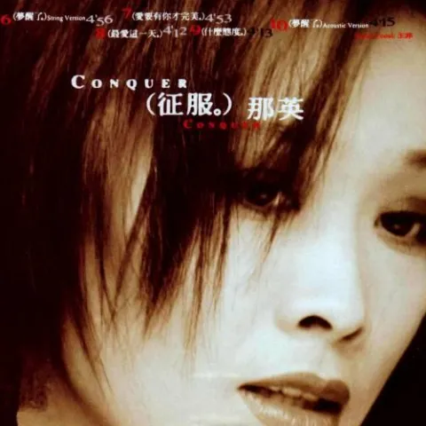 征服 歌词 - 那英