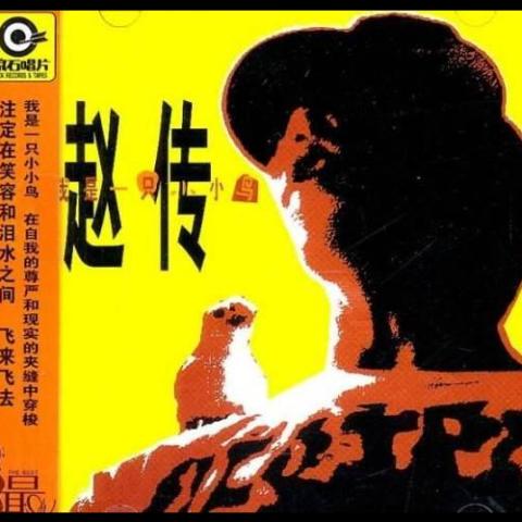 我是一只小小鸟 歌词 - 赵传