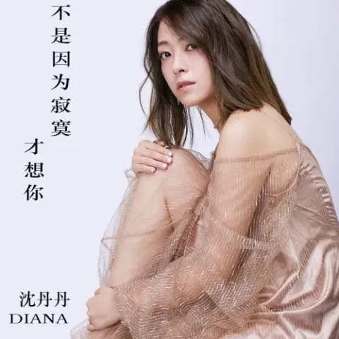 不是因为寂寞才想你 歌词 - 沈丹丹