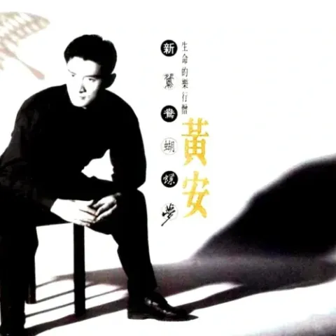 新鸳鸯蝴蝶梦 歌词 - 黄安
