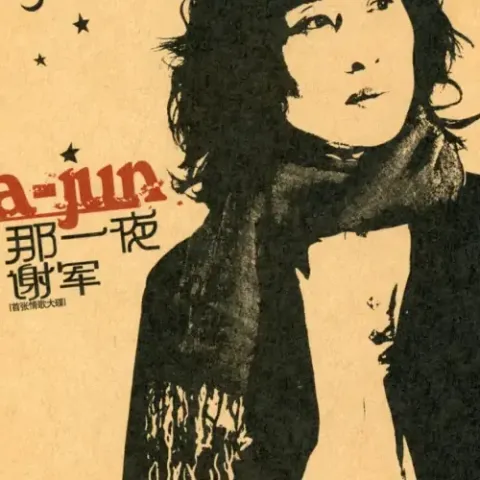 那一夜 歌词 - 谢军