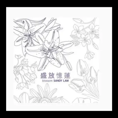 激情 歌词 - 林忆莲 电影《壮志凌云》主题曲