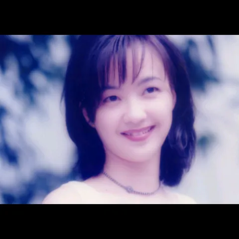 逝去的诺言 歌词 - 陈慧娴