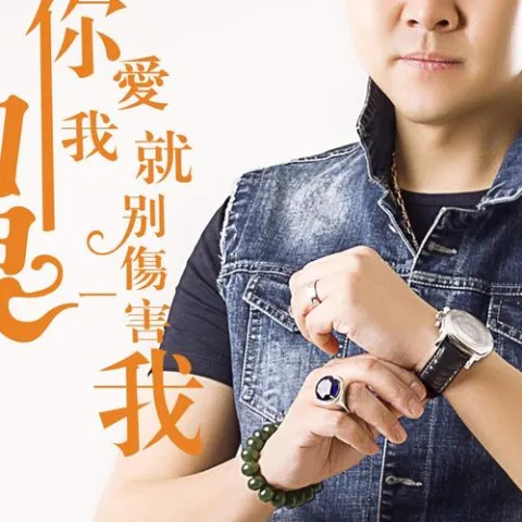 如果你爱我就别伤害我 歌词 - 暴林