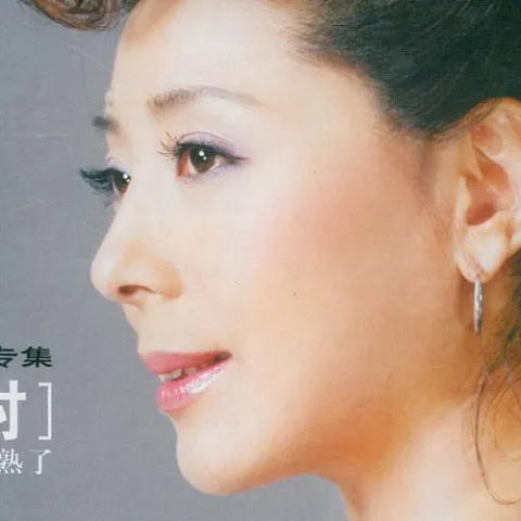 月光下的凤尾竹 歌词 - 关牧村