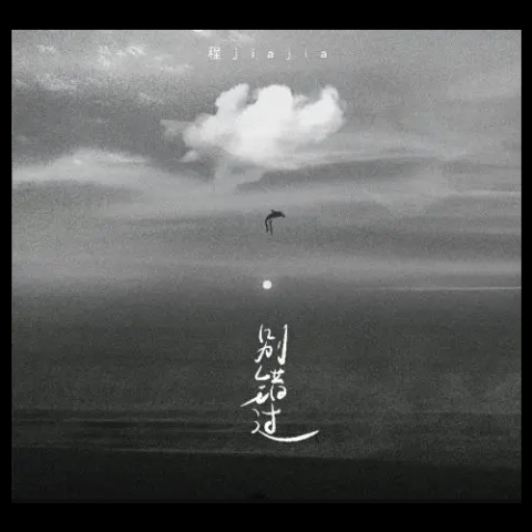  别错过 歌词 - 程佳佳