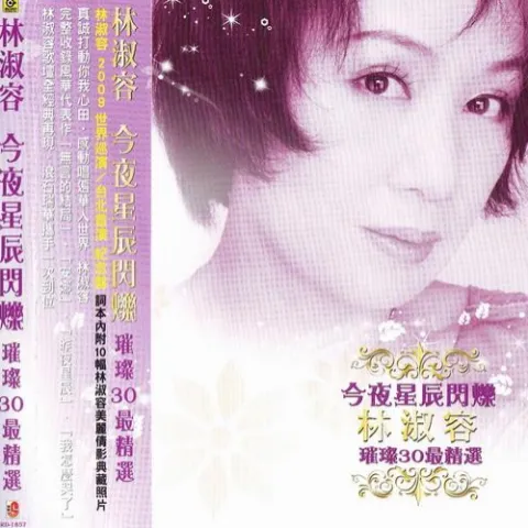 无言的结局 歌词 - 林淑容 / 李茂山