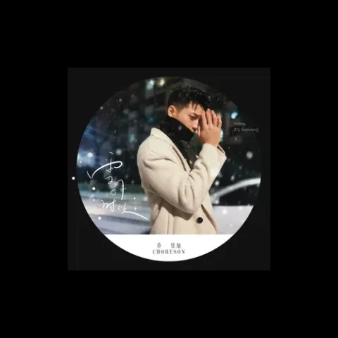 雪下的时候 歌词 - 乔佳旭