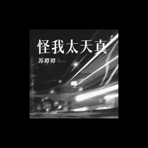 怪我太天真 歌词 - 苏谭谭