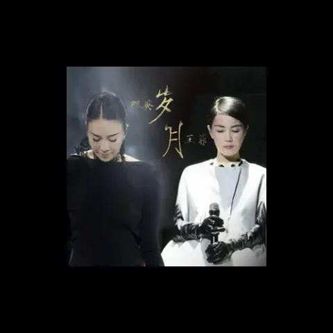 岁月 歌词 - 王菲 /那英